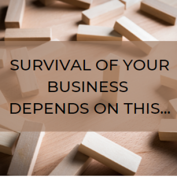 business survival
